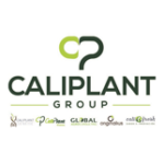 logo Caliplant group