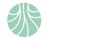 logo Fundación Ingenio