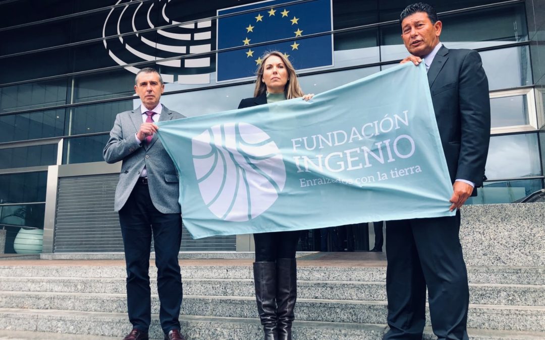 European Parliament admits a complaint from FUNDACIÓN INGENIO against MITECO (The Ministry for Ecological Transition and Demographic Challenges) for failing to comply with environmental directives.