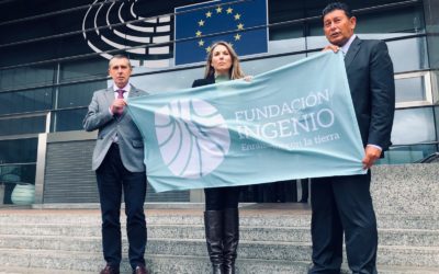 El Parlamento Europeo admite una denuncia de Fundación Ingenio contra MITECO por incumplir directivas medioambientales