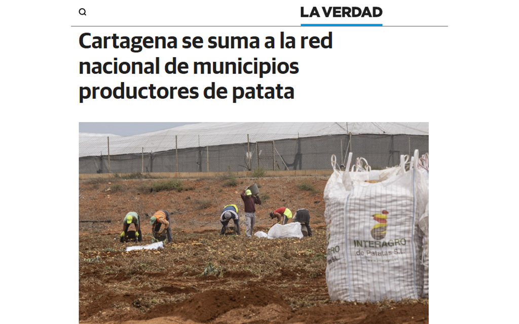 Cartagena se suma a la red nacional de municipios productores de patata