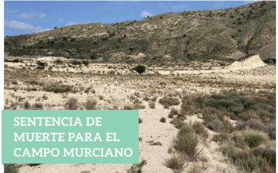 El Gobierno de Murcia castiga a sus agricultores con el régimen sancionador más duro de toda Europa
